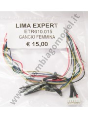 4832 IMG_7010.JPG